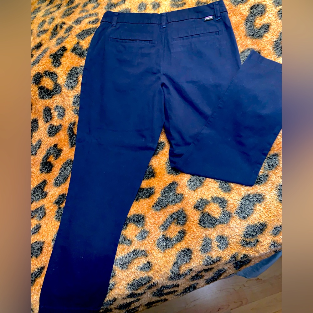 Patagonia pants